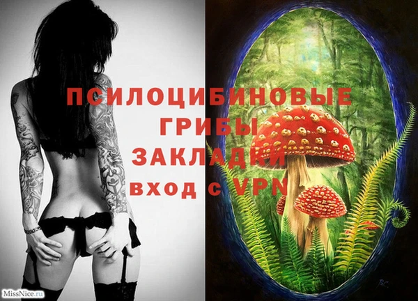 ПСИЛОЦИБИНОВЫЕ ГРИБЫ Богородицк
