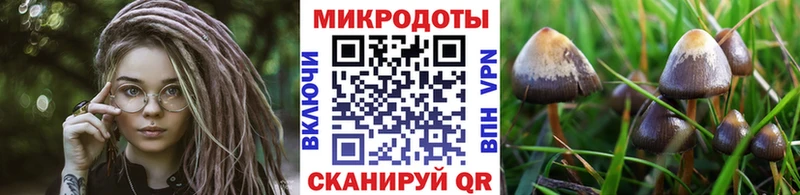 Псилоцибиновые грибы Cubensis  Демидов 