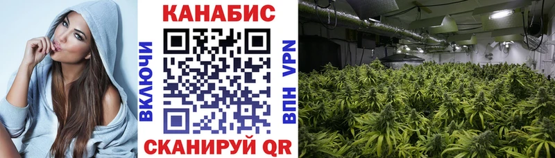 KRAKEN вход  Демидов  Каннабис OG Kush 